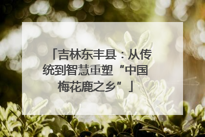 吉林东丰县：从传统到智慧重塑“中国梅花鹿之乡”