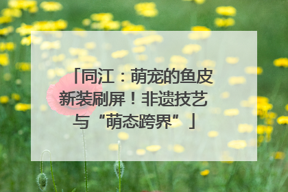 同江：萌宠的鱼皮新装刷屏！非遗技艺与“萌态跨界”