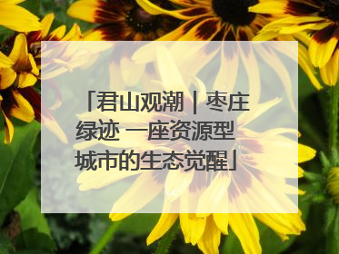 君山观潮｜枣庄绿迹 一座资源型城市的生态觉醒