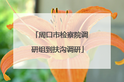 周口市检察院调研组到扶沟调研