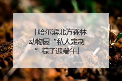 哈尔滨北方森林动物园“私人定制”粽子迎端午
