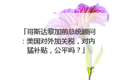 哥斯达黎加前总统顾问：美国对外加关税，对内猛补贴，公平吗？