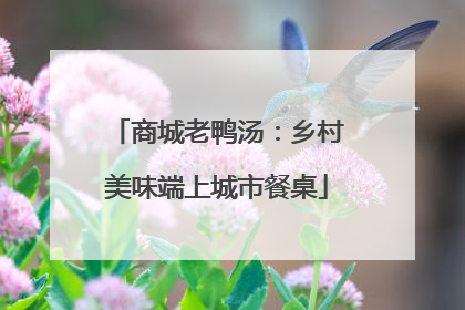 商城老鸭汤：乡村美味端上城市餐桌