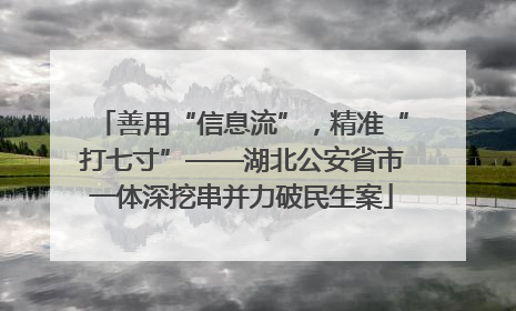 善用“信息流”，精准“打七寸”——湖北公安省市一体深挖串并力破民生案