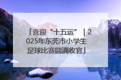 喜迎“十五运”｜2025年东莞市小学生足球比赛圆满收官