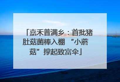 嘉禾普满乡：首批猪肚菇菌棒入棚 “小蘑菇”撑起致富伞