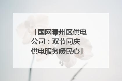 国网秦州区供电公司：双节同庆 供电服务暖民心