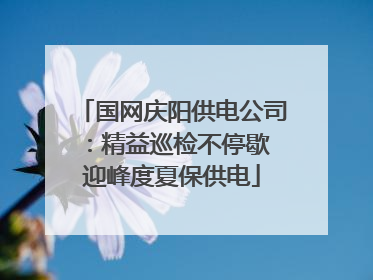 国网庆阳供电公司：精益巡检不停歇 迎峰度夏保供电