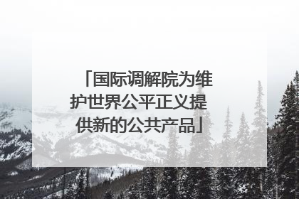 国际调解院为维护世界公平正义提供新的公共产品