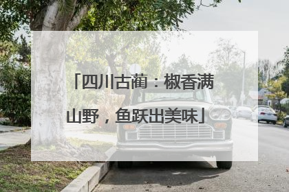 四川古蔺：椒香满山野，鱼跃出美味
