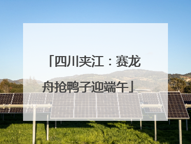 四川夹江：赛龙舟抢鸭子迎端午