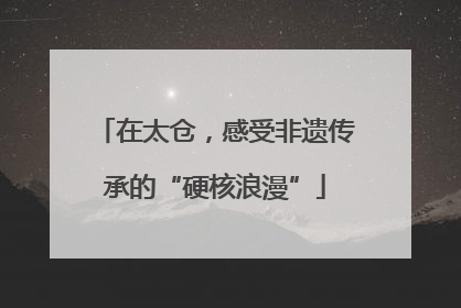 在太仓，感受非遗传承的“硬核浪漫”