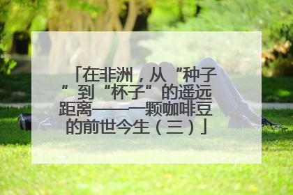 在非洲，从“种子”到“杯子”的遥远距离——一颗咖啡豆的前世今生（三）