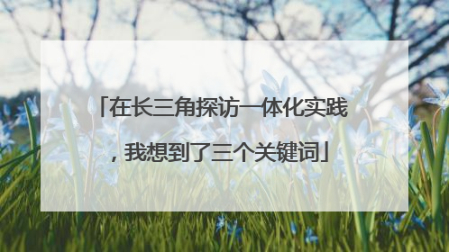 在长三角探访一体化实践，我想到了三个关键词