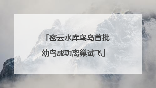 密云水库鸟岛首批幼鸟成功离巢试飞