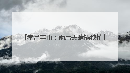 孝昌丰山：雨后天晴插秧忙