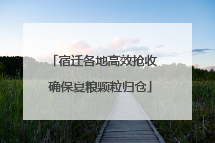 宿迁各地高效抢收 确保夏粮颗粒归仓
