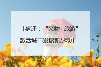 宿迁：“文物+旅游”激活城市发展新脉动