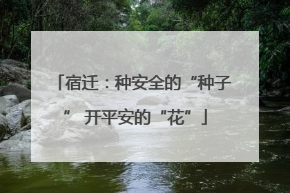 宿迁：种安全的“种子” 开平安的“花”