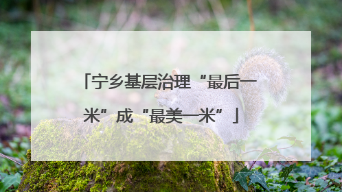 宁乡基层治理“最后一米”成“最美一米”