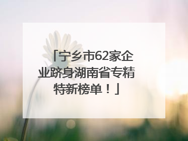 宁乡市62家企业跻身湖南省专精特新榜单！