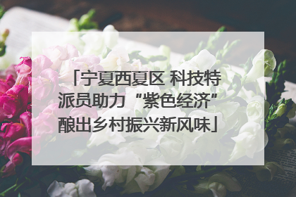 宁夏西夏区 科技特派员助力“紫色经济”酿出乡村振兴新风味