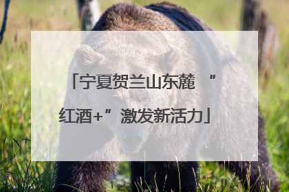 宁夏贺兰山东麓 “红酒+”激发新活力