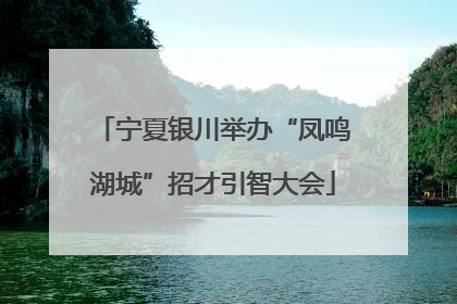 宁夏银川举办“凤鸣湖城”招才引智大会