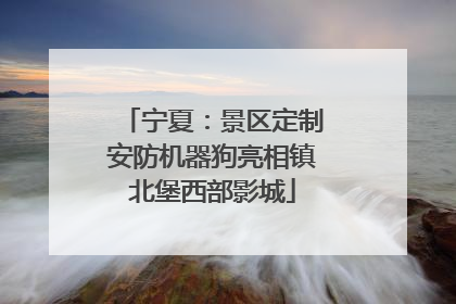 宁夏：景区定制安防机器狗亮相镇北堡西部影城