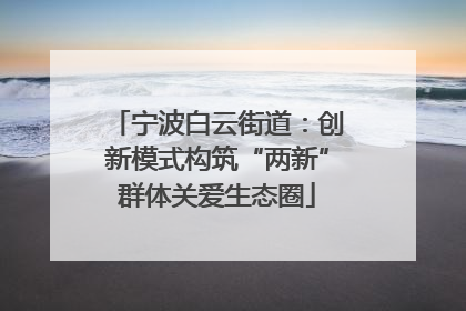 宁波白云街道：创新模式构筑“两新”群体关爱生态圈