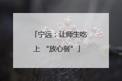 宁远：让师生吃上 “放心餐”