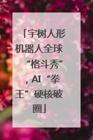 宇树人形机器人全球“格斗秀”，AI“拳王”硬核破圈