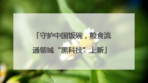 守护中国饭碗，粮食流通领域“黑科技”上新
