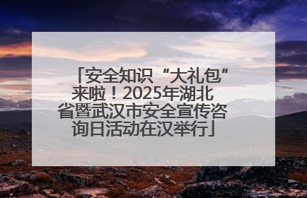 安全知识“大礼包”来啦！2025年湖北省暨武汉市安全宣传咨询日活动在汉举行