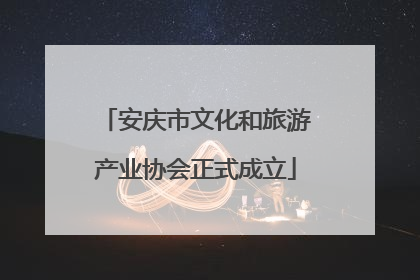 安庆市文化和旅游产业协会正式成立