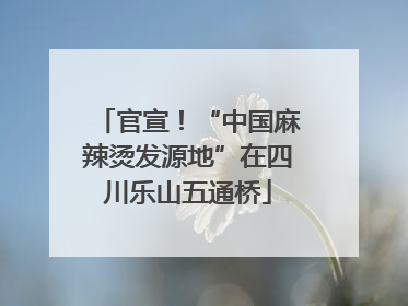 官宣！“中国麻辣烫发源地”在四川乐山五通桥