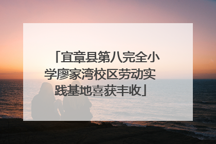宜章县第八完全小学廖家湾校区劳动实践基地喜获丰收