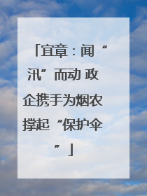 宜章：闻“汛”而动 政企携手为烟农撑起“保护伞”
