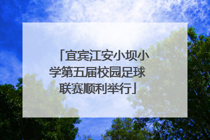 宜宾江安小坝小学第五届校园足球联赛顺利举行