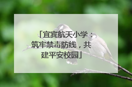 宜宾航天小学：筑牢禁毒防线，共建平安校园