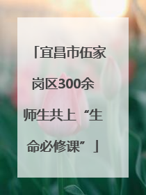 宜昌市伍家岗区300余师生共上“生命必修课”