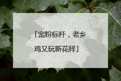 宠粉标杆，老乡鸡又玩新花样