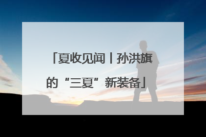 夏收见闻丨孙洪旗的“三夏”新装备