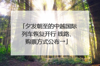 夕发朝至的中越国际列车恢复开行 线路、购票方式公布→
