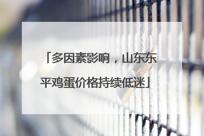 多因素影响，山东东平鸡蛋价格持续低迷