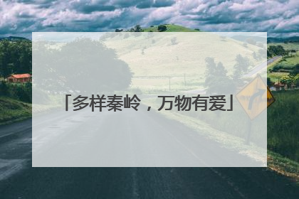 多样秦岭，万物有爱