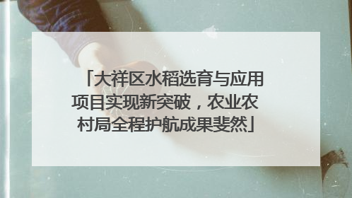 大祥区水稻选育与应用项目实现新突破，农业农村局全程护航成果斐然