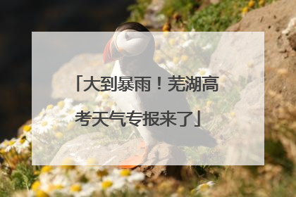 大到暴雨！芜湖高考天气专报来了