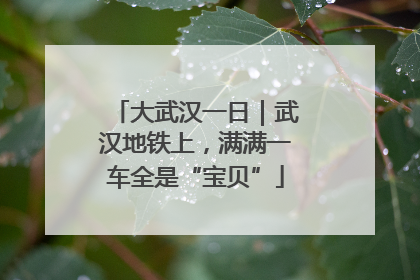 大武汉一日｜武汉地铁上，满满一车全是“宝贝”