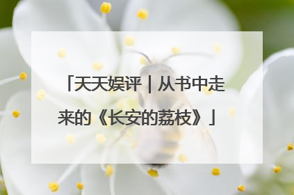天天娱评｜从书中走来的《长安的荔枝》